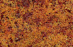 Woodland Scenics F56 Foliage Bag - Late Fall (90.7 Sq. In.)