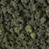 Woodland Scenics FC1649 Bushes Shaker - Forest Blend (50 Cu. In.)